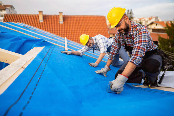 Best Roof Maintenance Services  in Tuskegee, AL